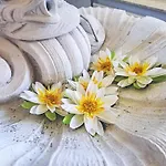 Rose By Interhome Villa *