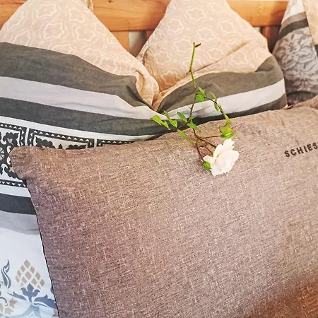 Rose By Interhome Nachdemsee