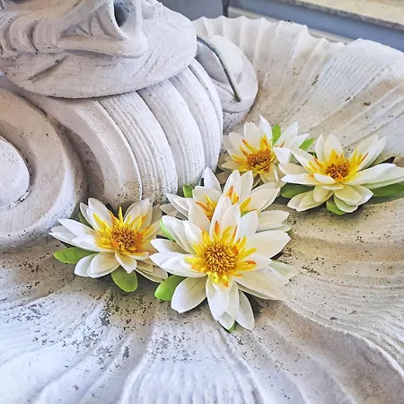 Rose By Interhome ヴィラ *